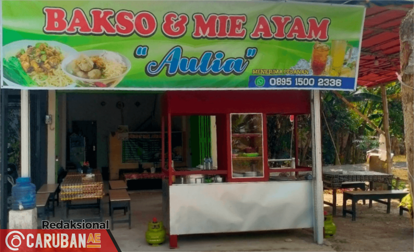 Bakso dan Mie Ayam "AULIA", Pacinan, Balerejo